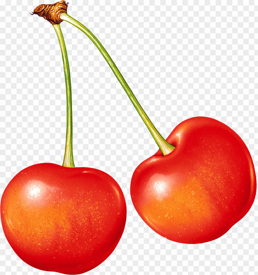 Cherry Image Juice Sour Fruit Sweet PNG