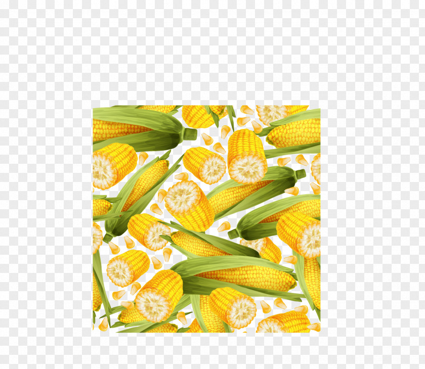 Corn On The Cob Sweet Maize Field PNG