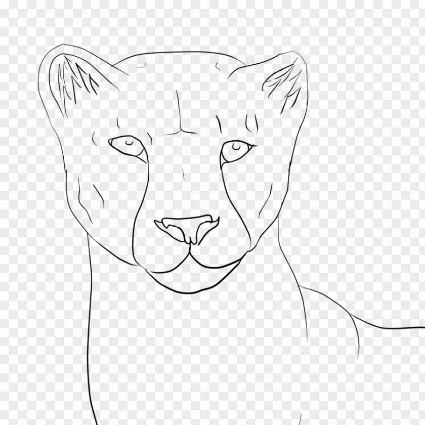 Lion Whiskers Cat Nose Sketch PNG