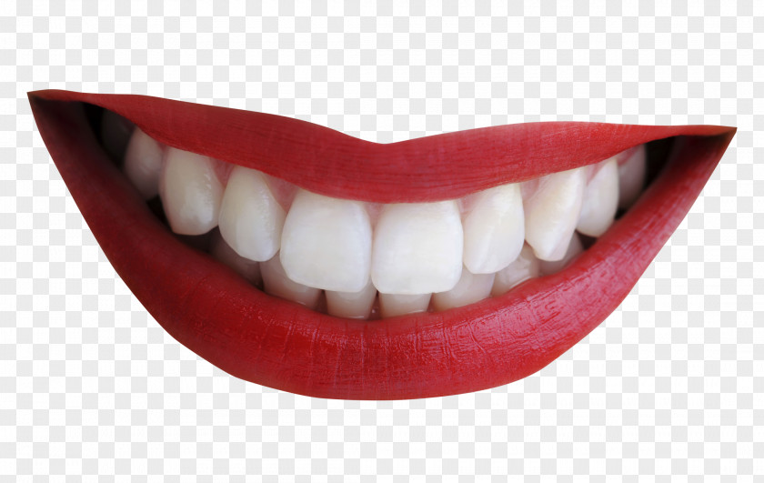 Smile Mouth Tooth PNG