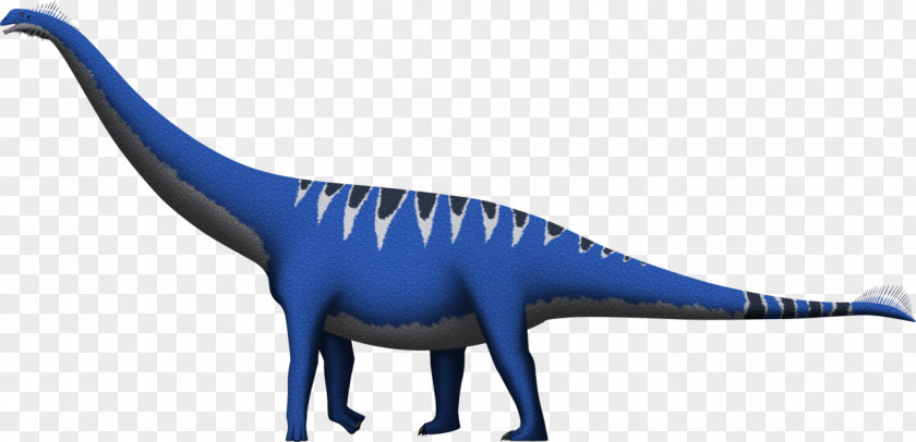 Dinosaur Spinophorosaurus Velociraptor Tyrannosaurus Brachiosaurus Glacialisaurus PNG