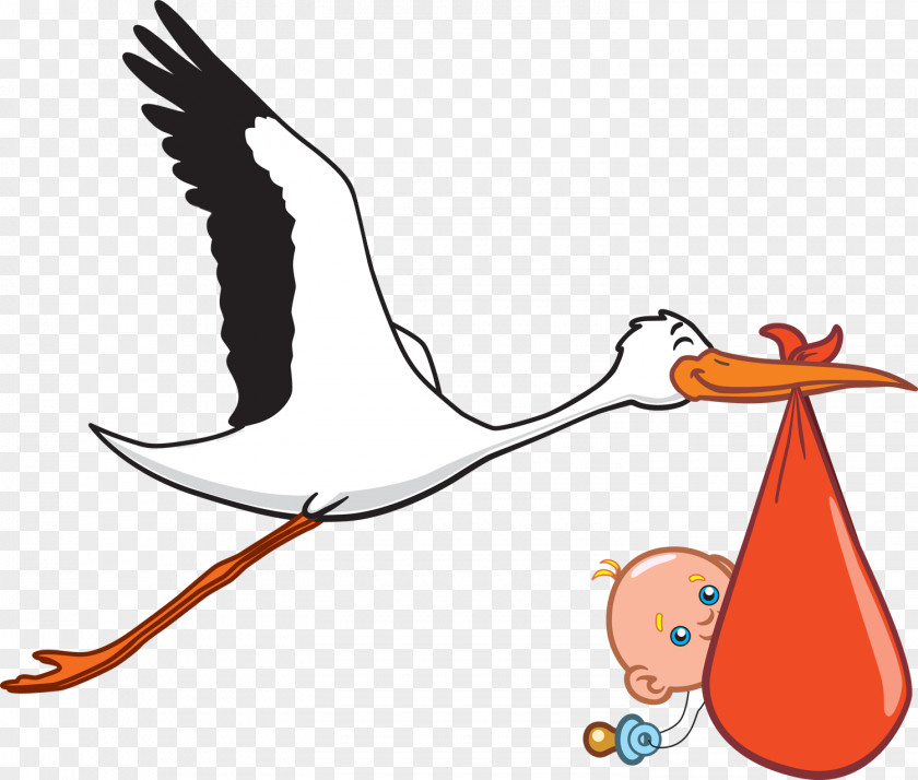 Flamingo Infant Ciconia Clip Art PNG