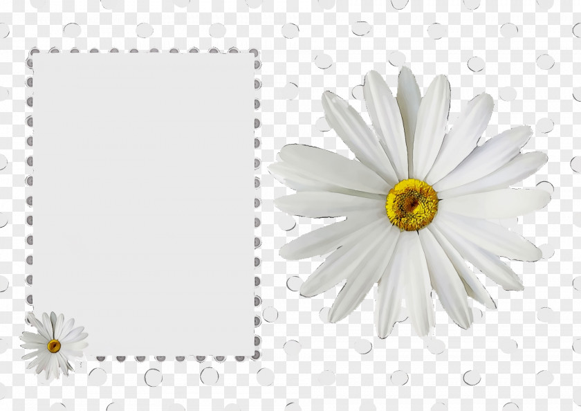 Floral Design PNG