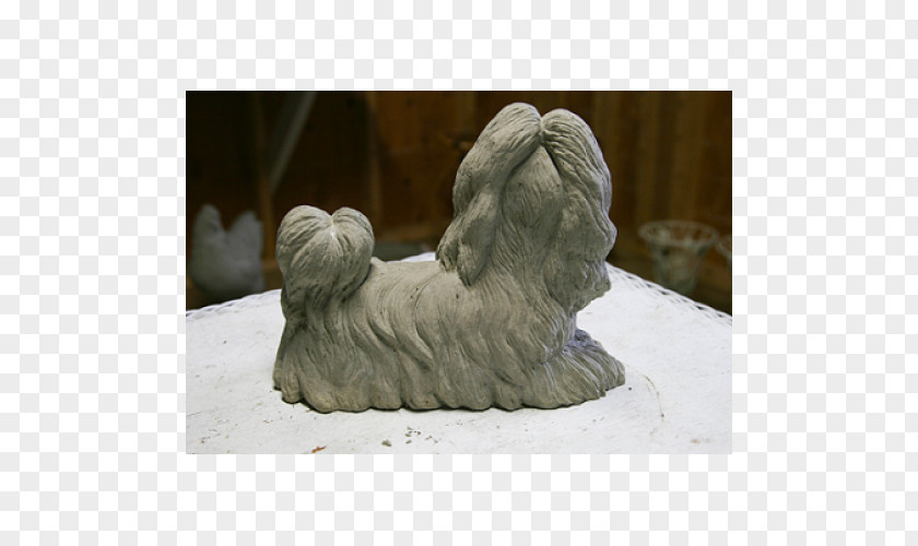 Maltese Shih Tzu Lhasa Apso Sculpture Stone Carving Dog Breed PNG