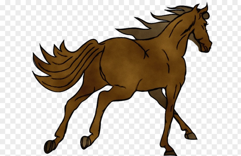 Mustang Horse Liver Sorrel Animal Figure Mare Line Art PNG