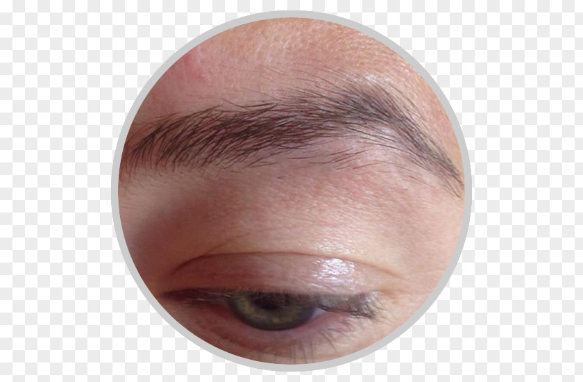 Nose Eyelash Extensions Eyebrow Eye Shadow Forehead Cheek PNG
