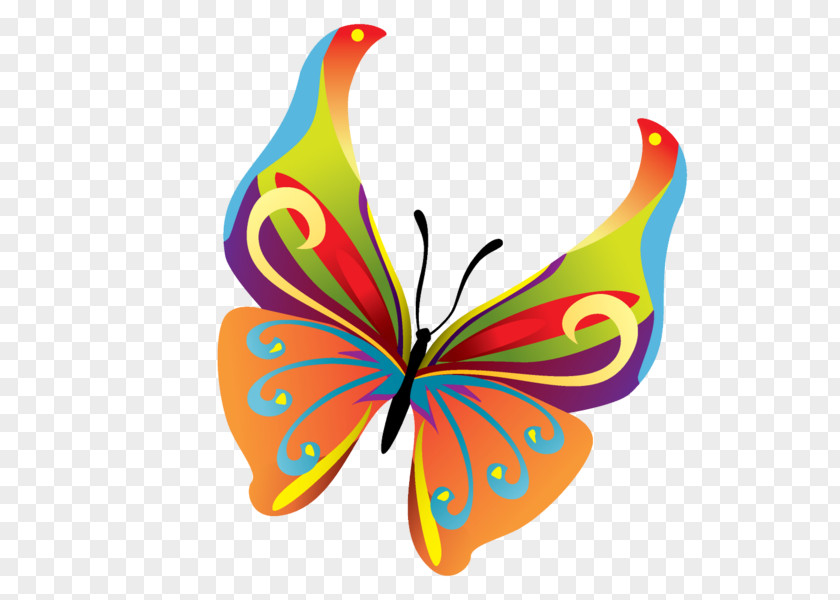 Butterfly Clip Art PNG