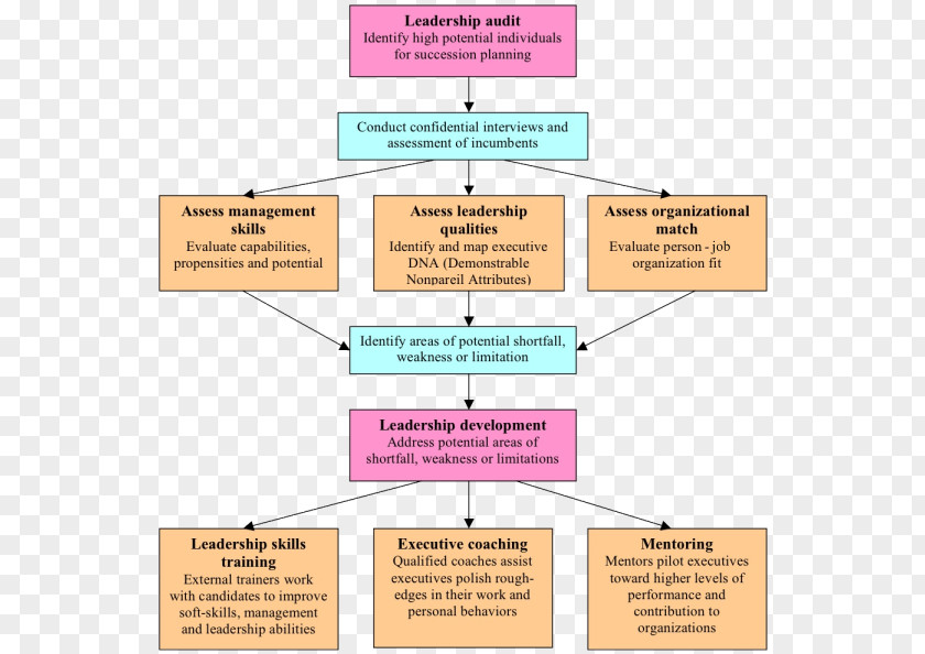 Career Development Flowchart Organization Personal Planning PNG