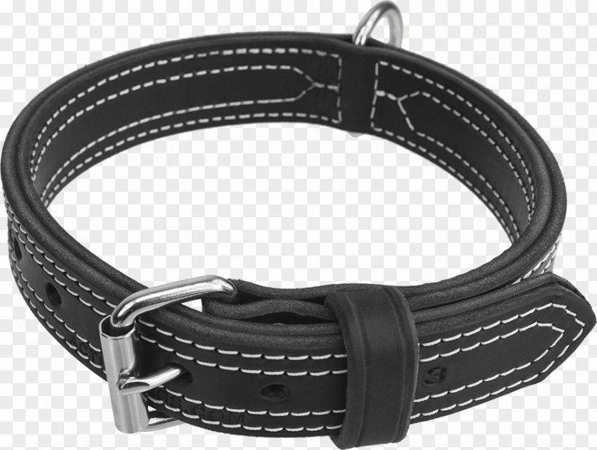 Dog Collar Belt D-ring PNG