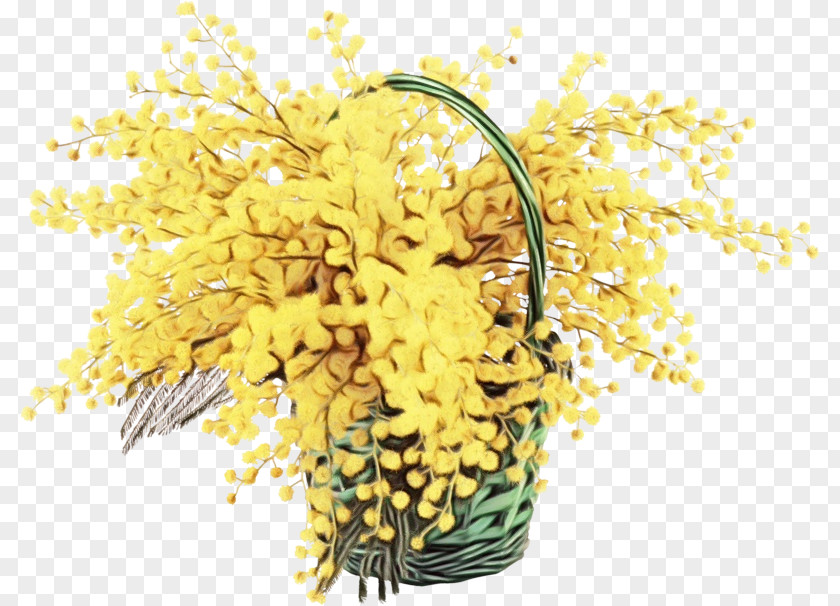 Goldenrod Mimosa PNG
