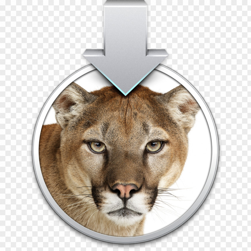 Lion OS X Mountain Mac MacOS Installation PNG