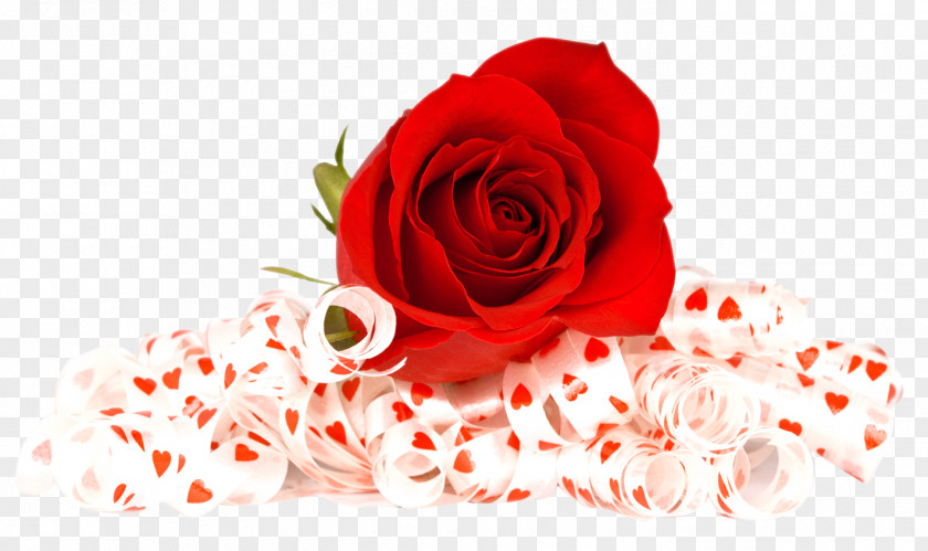 Red Rose Clip Art PNG