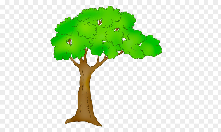 Tree Clip Art PNG