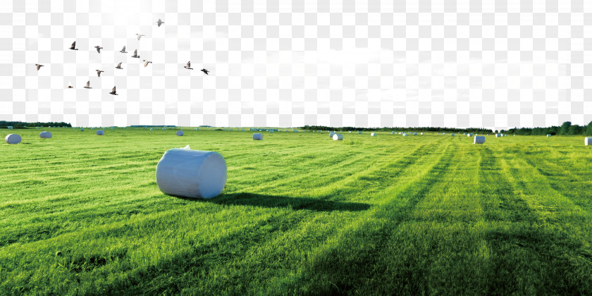 A Farm Download Poster Arable Land Icon PNG
