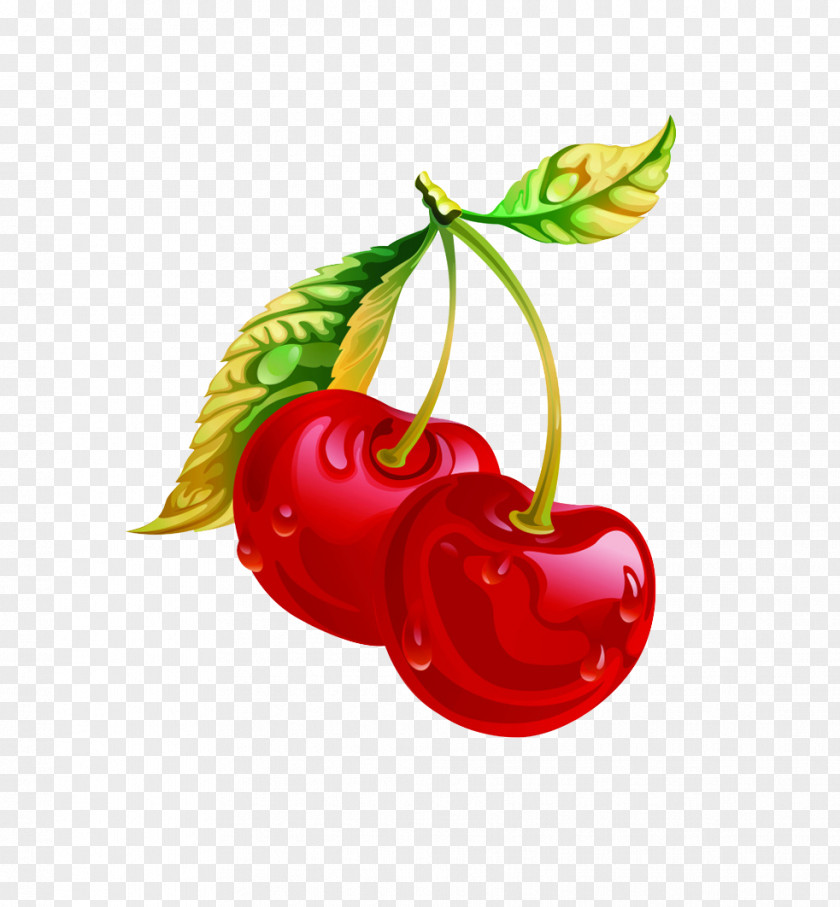 Cherry Red Download PNG