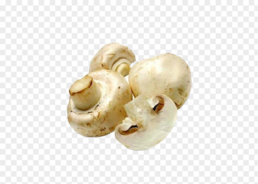 Creative Pull Small White Mushroom Free Common Edible PNG