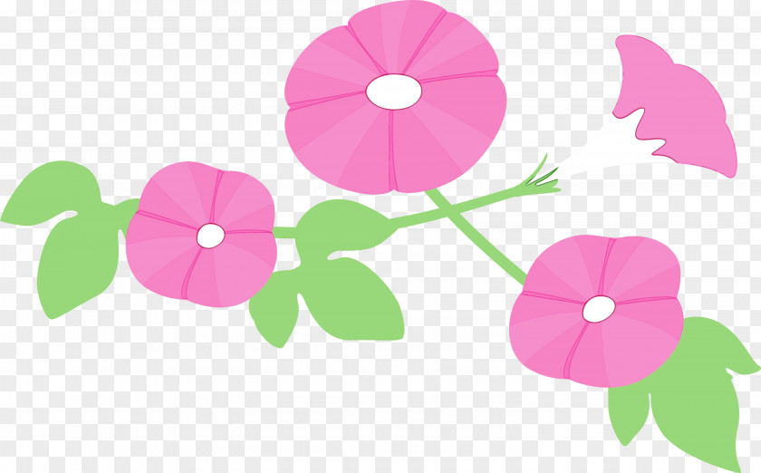 Pink Petal Flower Plant Morning Glory PNG