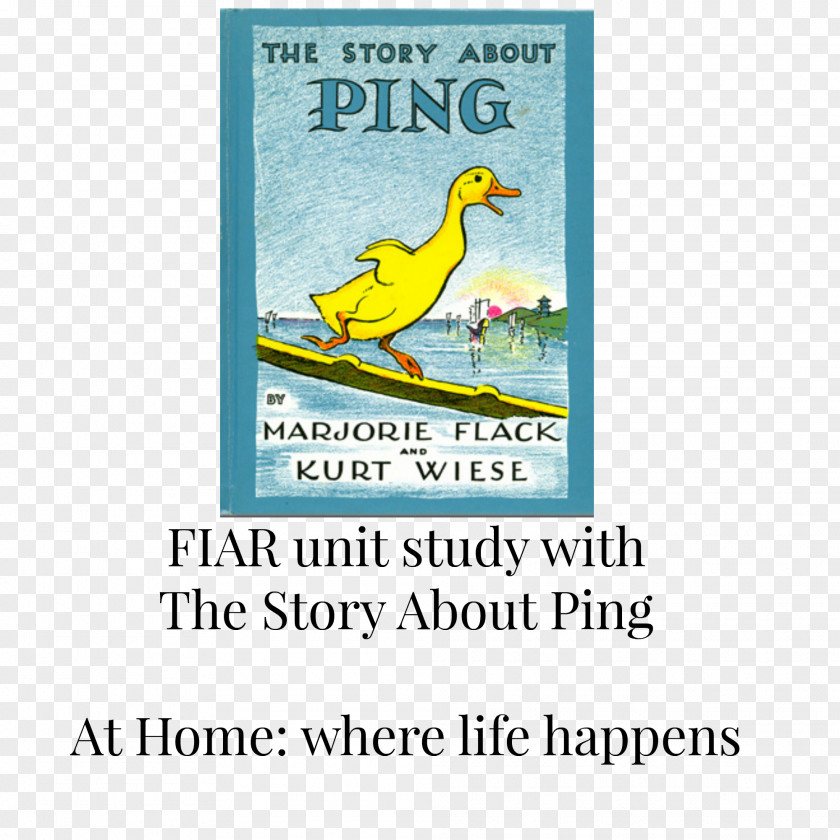 Book The Story About Ping Picture Paperback Illustrator PNG