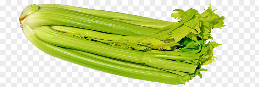 Choy Sum Leaf Vegetable Celery Plant Food PNG