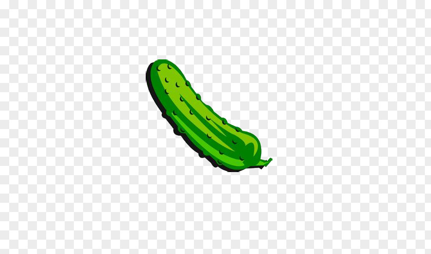 Cucumber Pickled Free Content Clip Art PNG