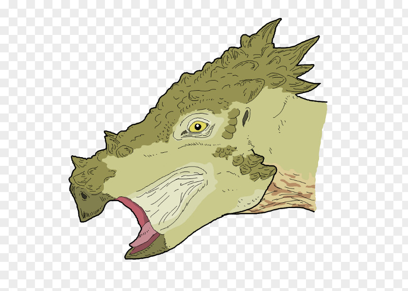 Dracorex Drawing Artist PNG