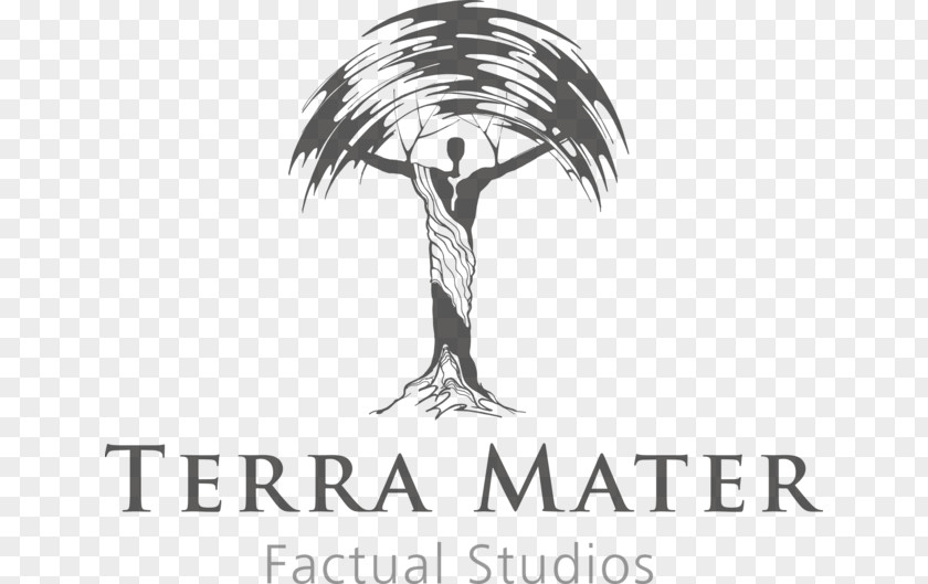 Red Bull Cliff Diving Terra Mater Factual Studios Gmbh Film Producer Nature Actor PNG