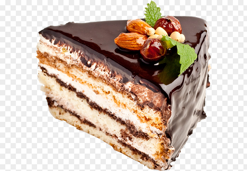 Spagetti Pasta Chocolate Cake Birthday Sponge Torte PNG