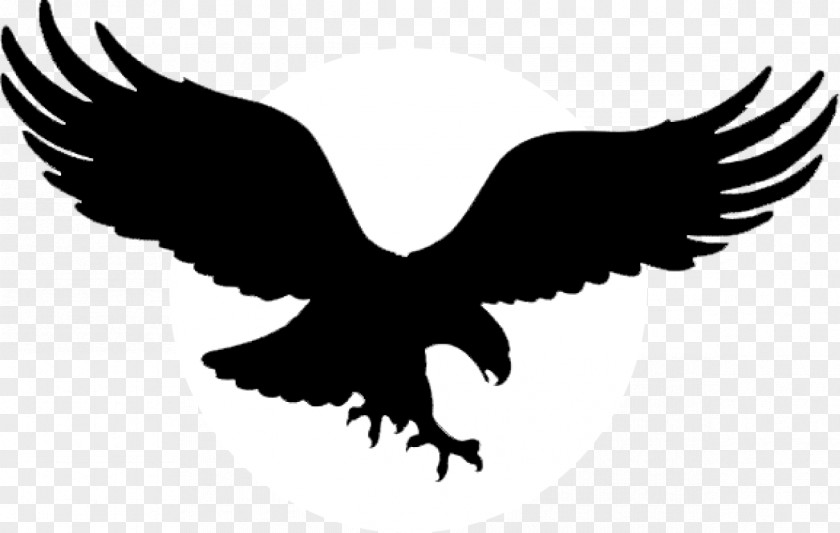 Winged Eagle Insignia Bald Golden Tattoo Black PNG