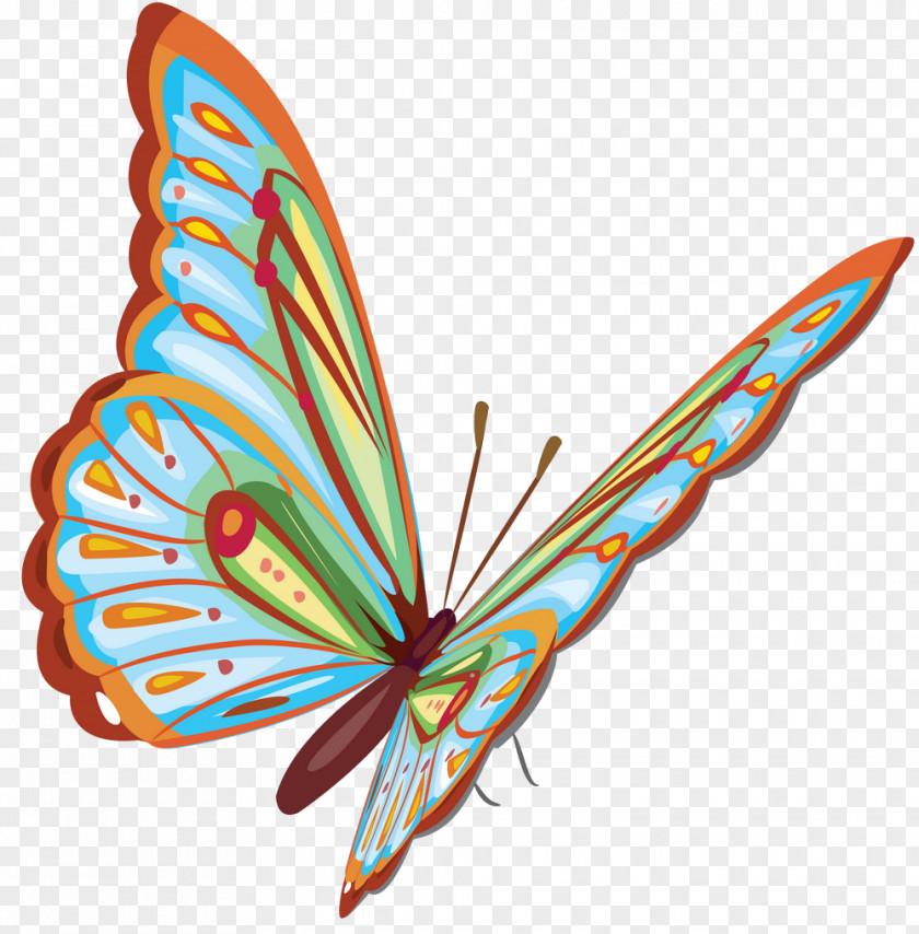 Butterfly Royalty-free Clip Art PNG