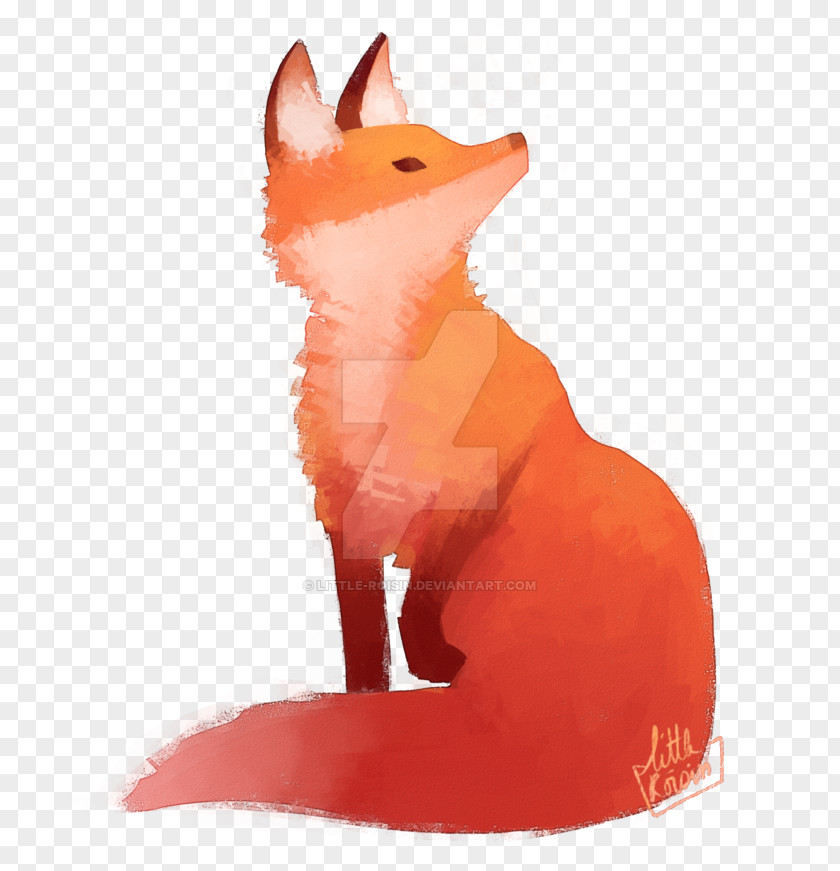 Cat Whiskers Red Fox Illustrator PNG