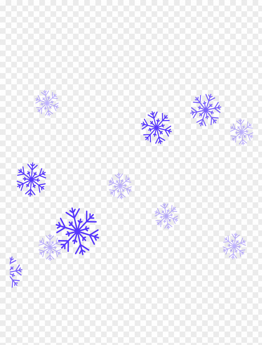 Christmas Snowflakes Snowflake PNG