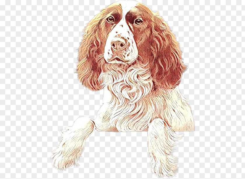 Dog Cocker Spaniel Sporting Group English PNG