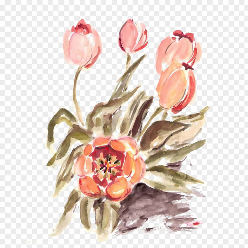 Gouache Tulip Picture Material Floral Design Flower PNG