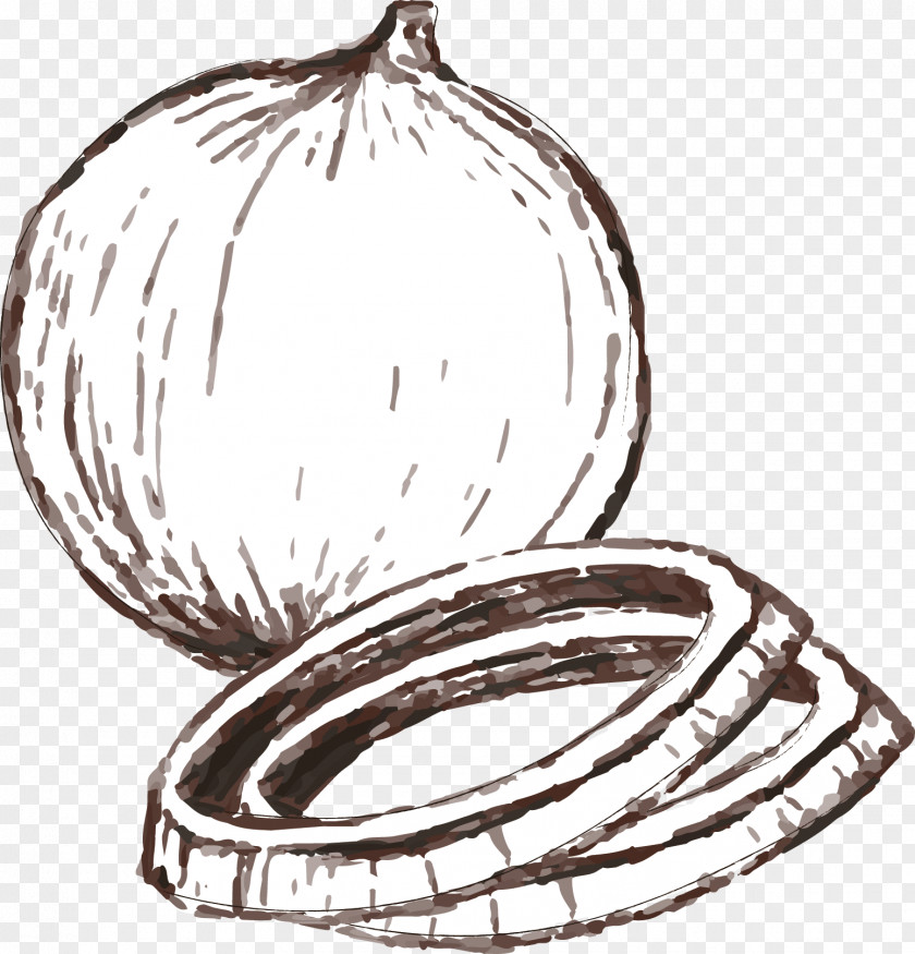 Hand Painted Onion Vector Ring Computer File PNG
