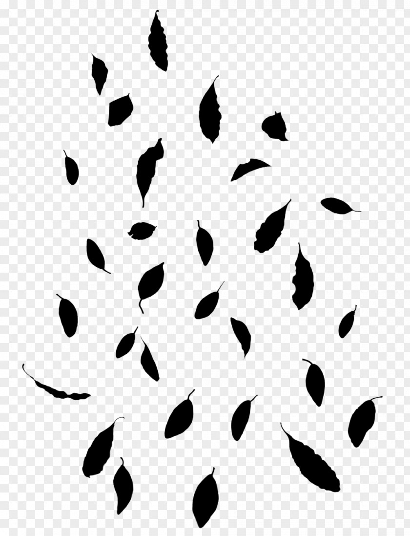 M Clip Art Point Line Feather Black & White PNG