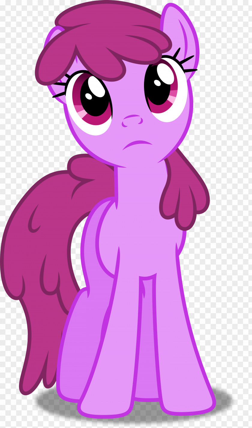 Punch Pony Twilight Sparkle Applejack PNG