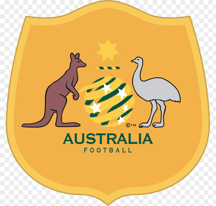 Belgium National Football Team 2018 Fifa World Cup Group C Australia FIFA Final France PNG