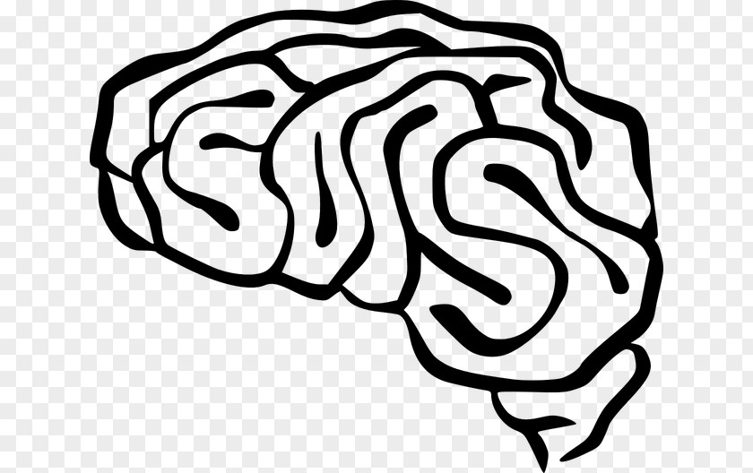 Brain Human Neuron Clip Art PNG