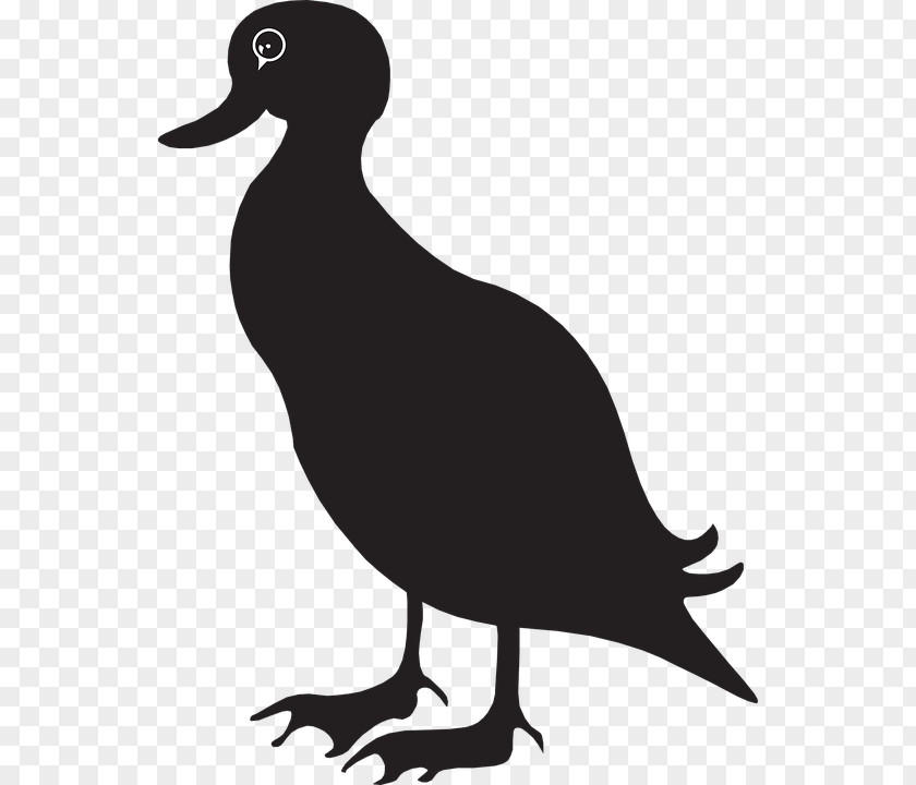Goose Vector Duck Mallard Clip Art PNG