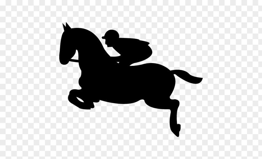 Horseriding Horse Equestrian Show Jumping Jockey PNG