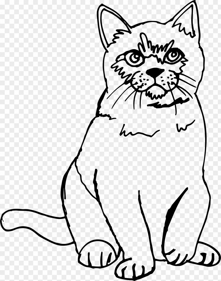 Kitten Sphynx Cat Drawing Line Art Sketch PNG