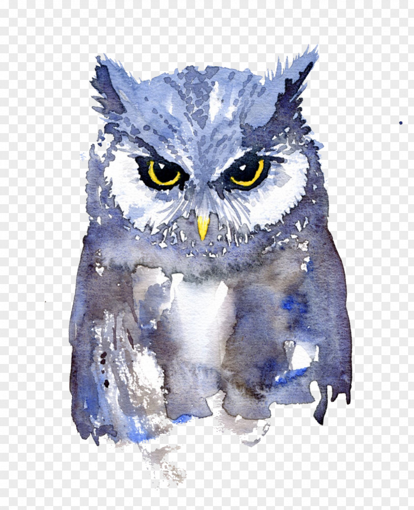 Owl Watercolor Painting Art Animals In PNG