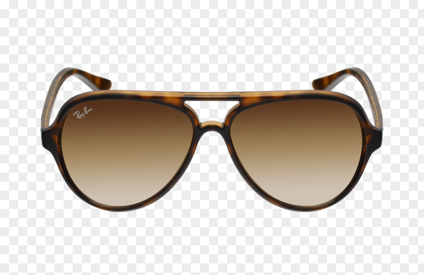 Ray Ban Ray-Ban Wayfarer Aviator Sunglasses PNG