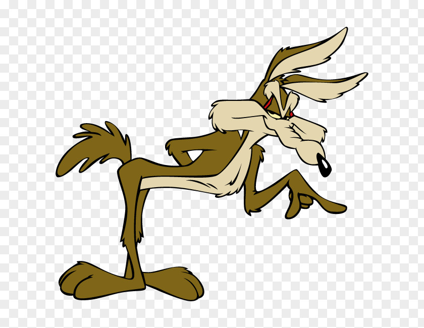 Wile Coyote E. And The Road Runner Cartoon Clip Art PNG