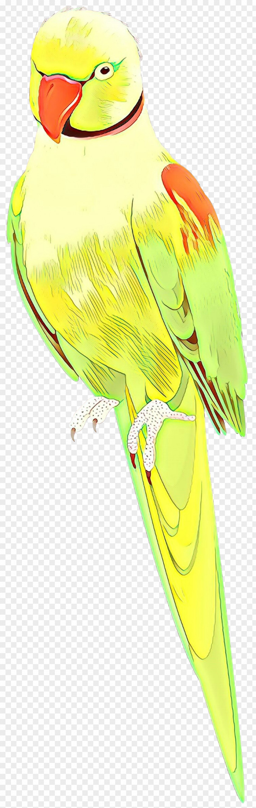 Wing Yellow Clip Art PNG