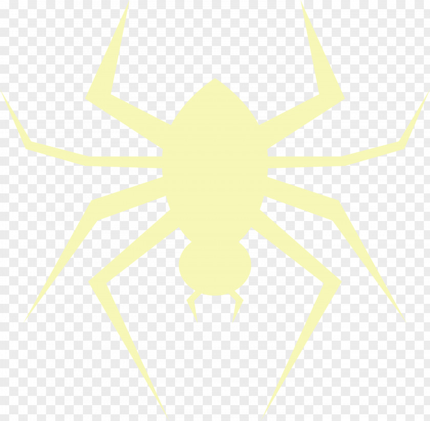Arachnid Insect Yellow Symmetry Line PNG