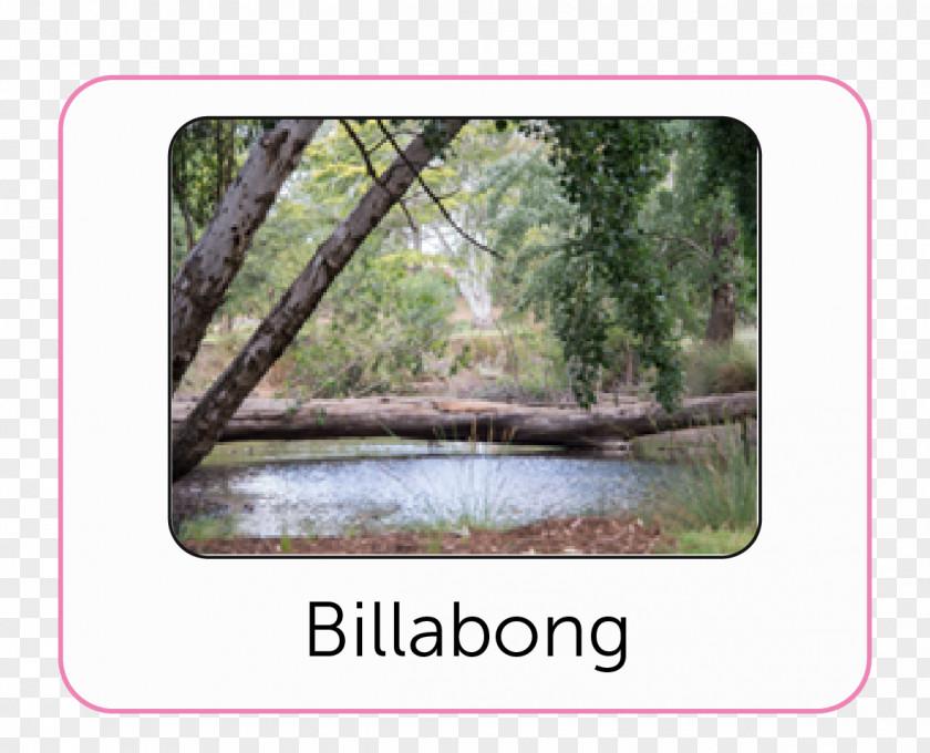 Billabong Bendigo Botanic Gardens Botanical Garden Public PNG