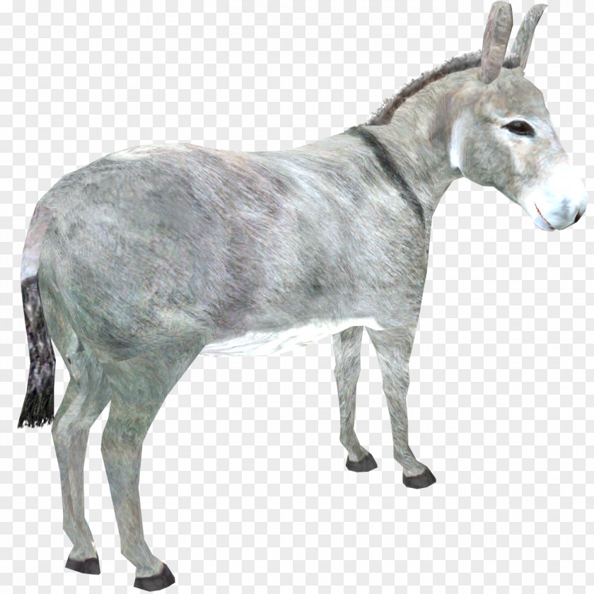 Donkey Zoo Tycoon 2 Horses Goat PNG