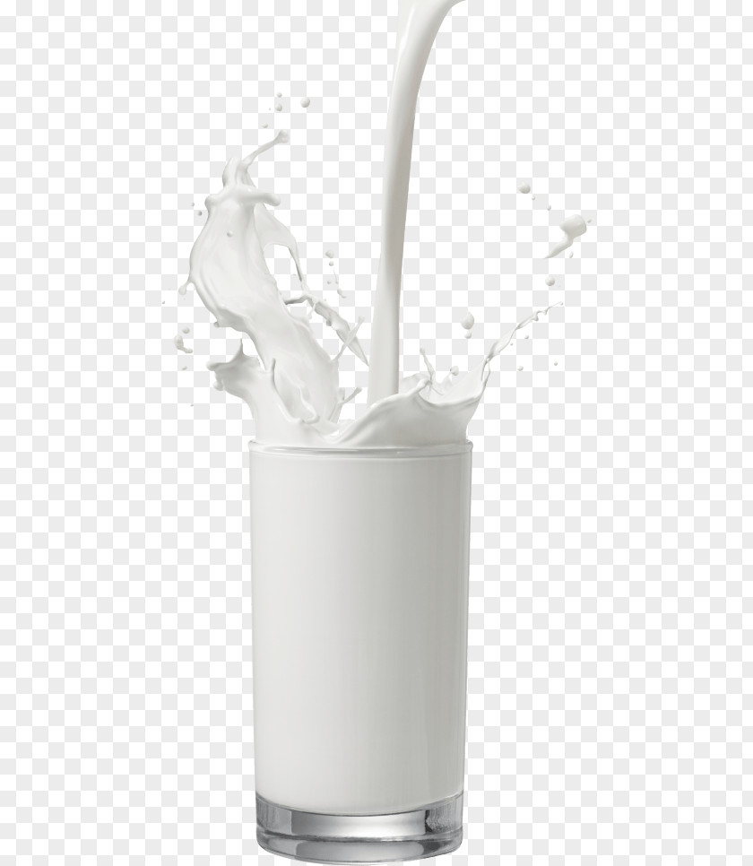 Milk Camel Clip Art Food PNG