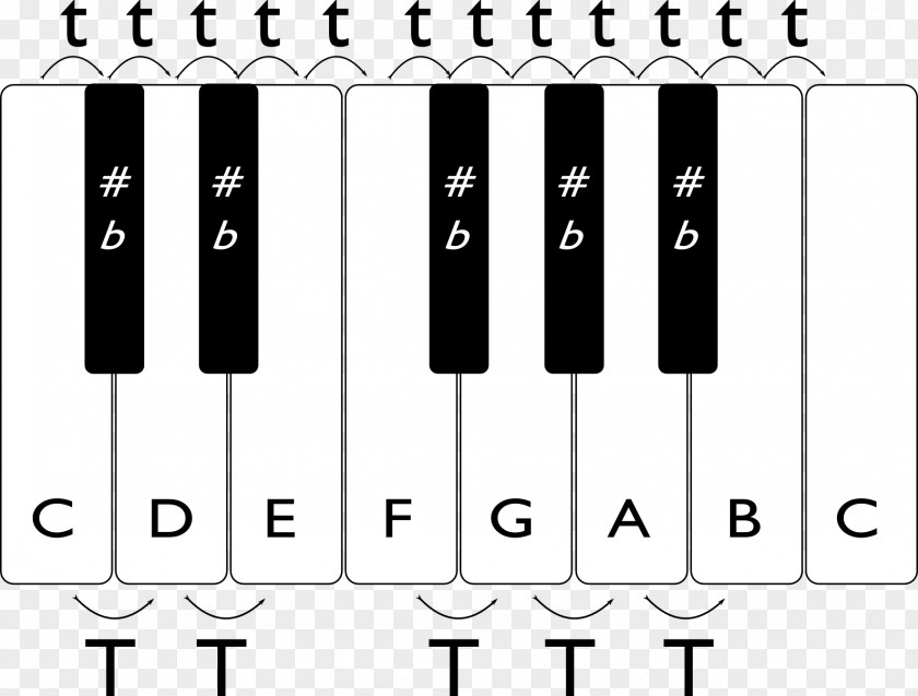 Musical Note Keyboard Semitone Scale PNG